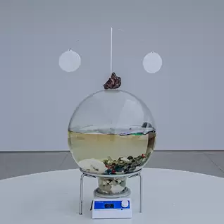 船川翔司