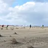 サスノグリフス