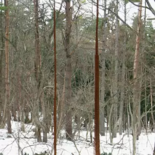 中瀬 康志