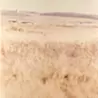 守屋友樹