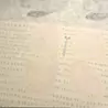 王露怡