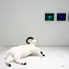 ボッレ・セートレ