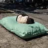 リュウ・ジァンファ