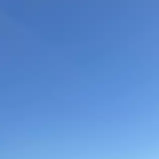 ふじいみほ