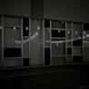 王露