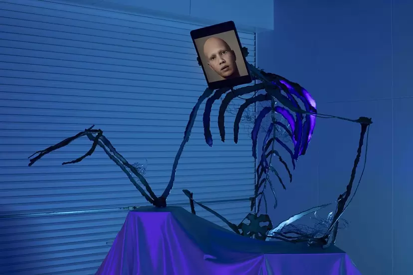 卞卡