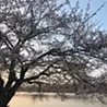 井口広大