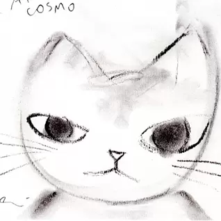 Ai Higuchi