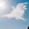 川島小鳥