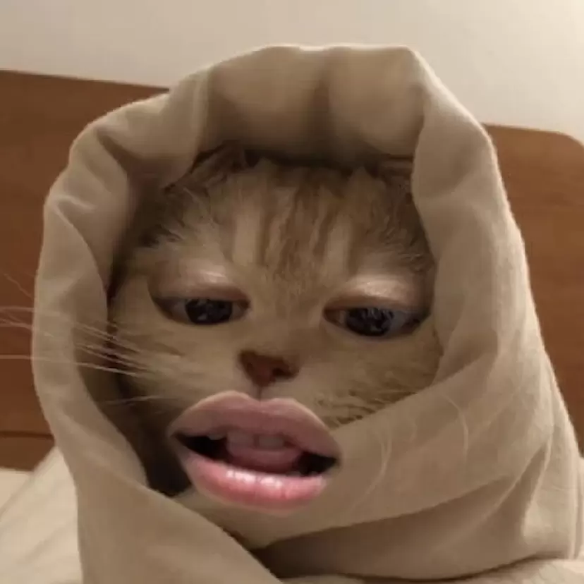 オートモアイ