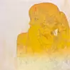 田口果歩