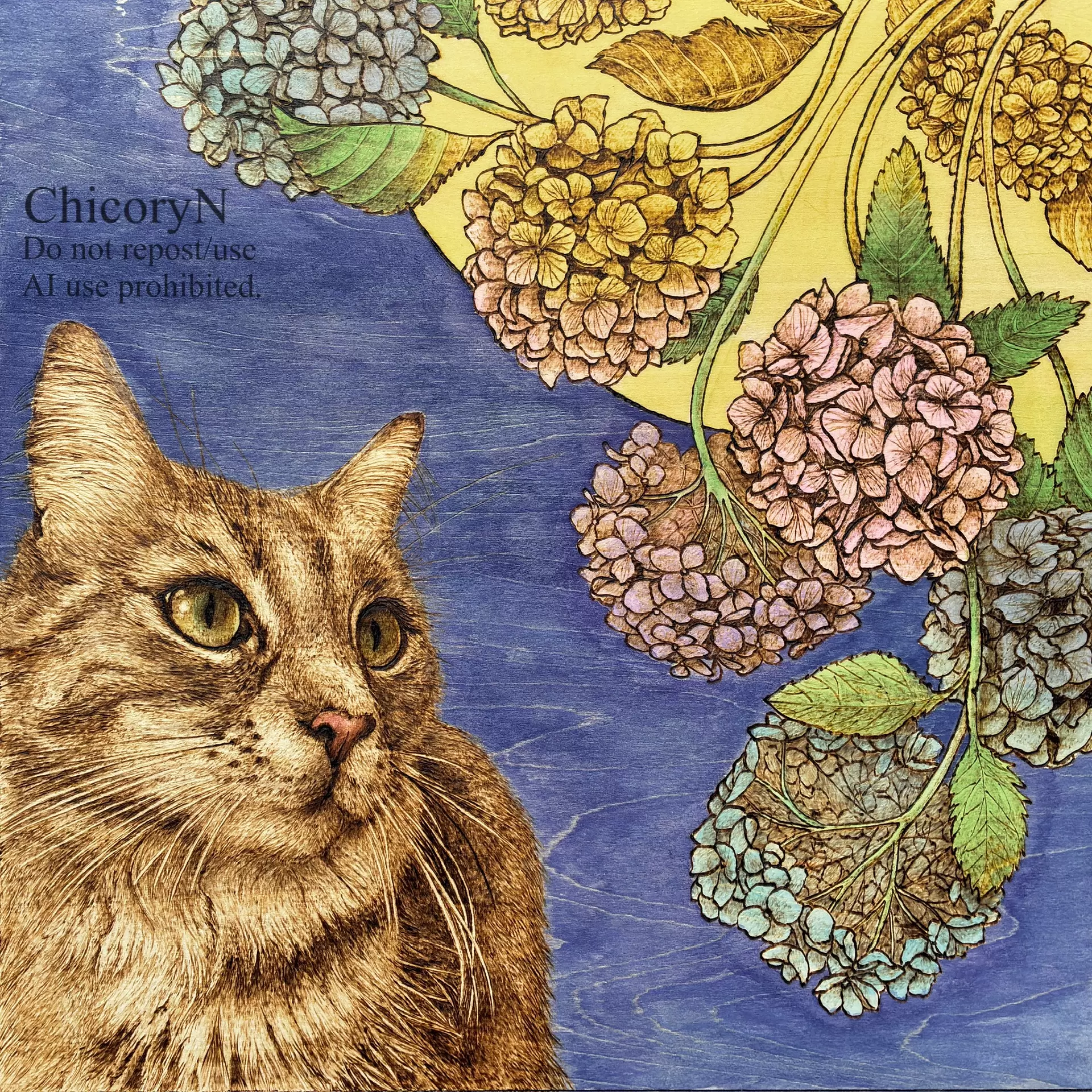 Chicory Narita
