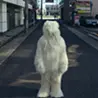 小西 葵