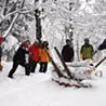 North Alps Foresters Group