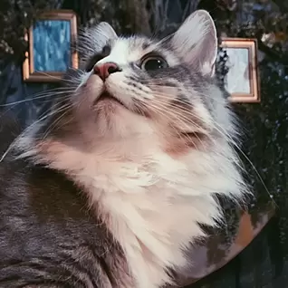 EMĀRIA