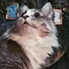EMĀRIA