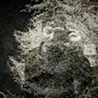 遠藤 励　Tsutomu Endo