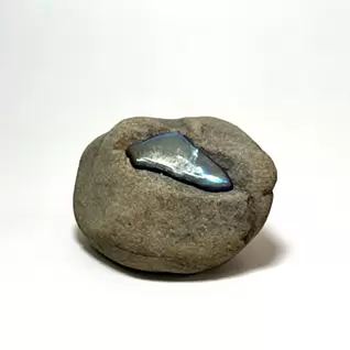 高木 謙造