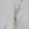 綾 理恵