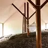 篠原一男