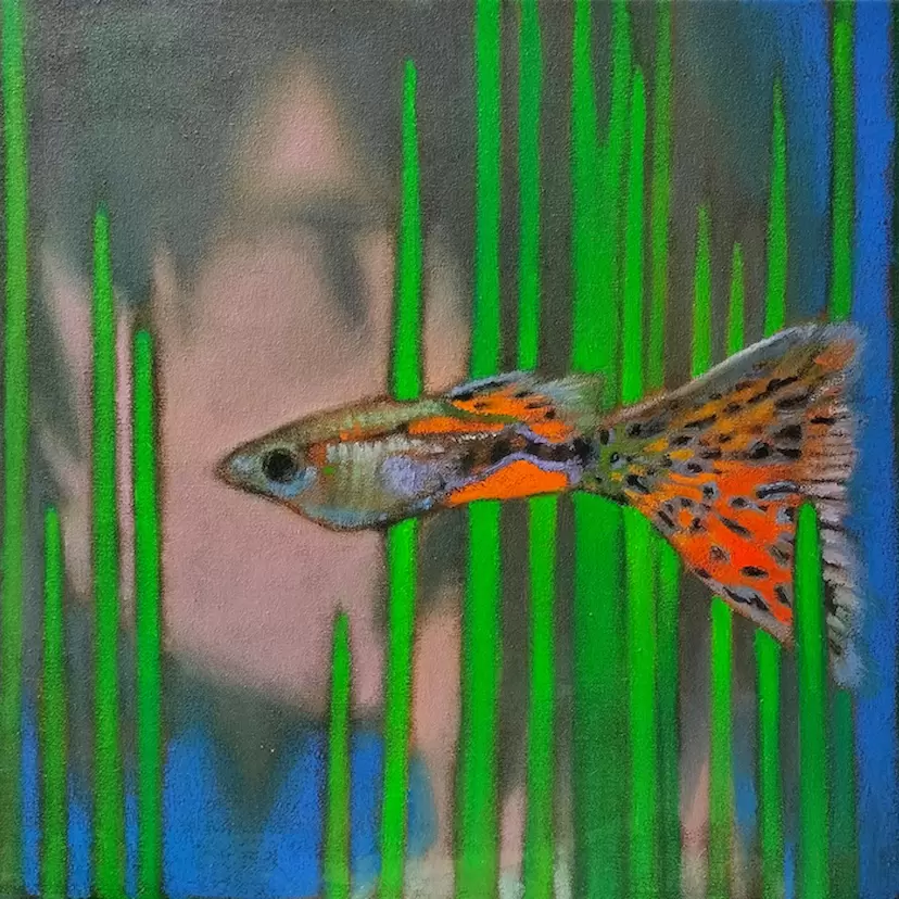 丸山咲