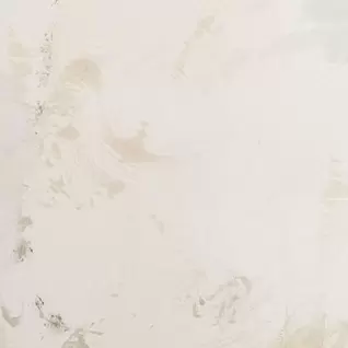 沼舞子
