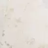 沼舞子