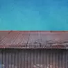 おかもと かおり