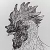 オオコシチカ