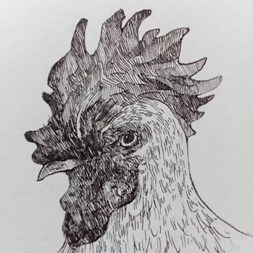 オオコシチカ