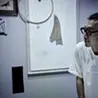 さわひらき