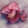 白石元郁
