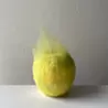 會澤優花