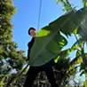 安田萌音