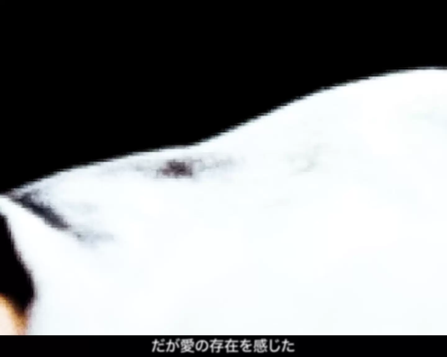 沓澤 真也
