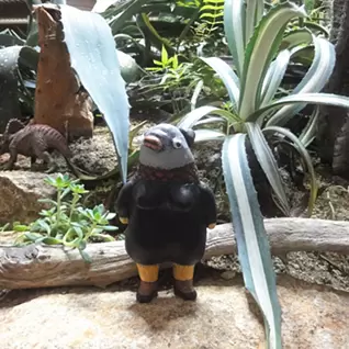 吉行鮎子
