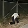 ひがれお