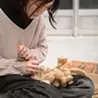 古西 穂波