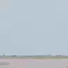 阪本 トクロウ