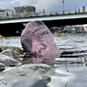 ノガミカツキ