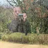 ウリュウ ユウキ