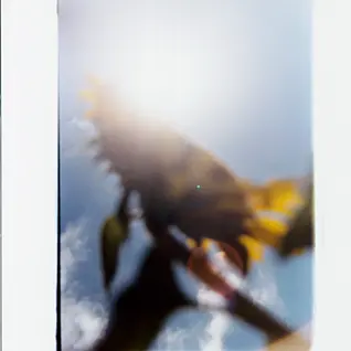 田中亜紀 （AKITANAKA ）　ぷらっとphoToほーむ（PlaTphoToHome）