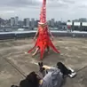 堀口 泰代 ／ Yasuyo Horiguchi