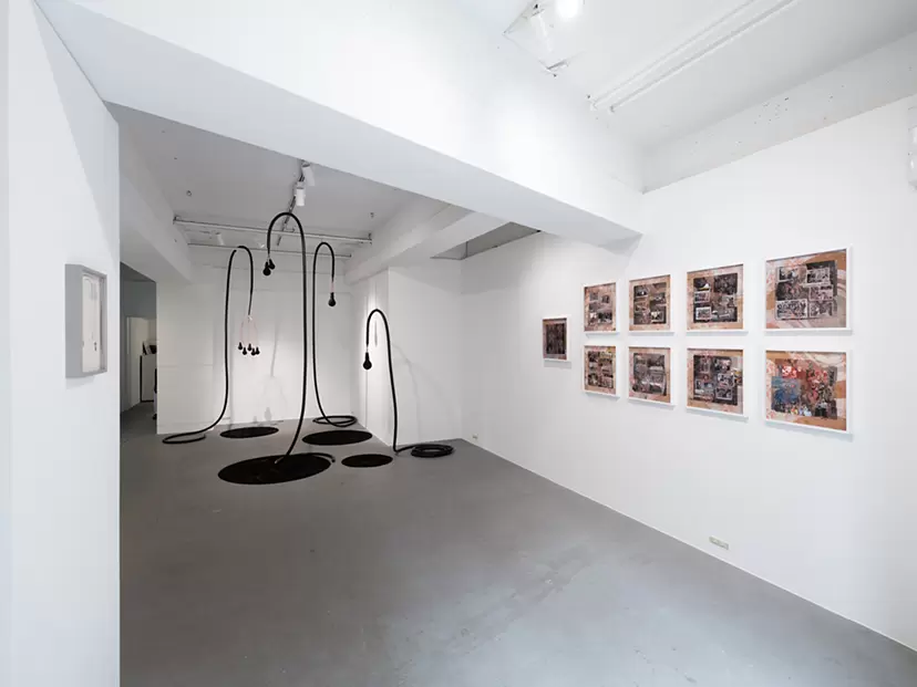 Naho Kawabe "Fern Flower” (2026), Installation view Photo by Shintaro Yamanaka (Qsyum!) ©Naho Kawabe, courtesy of the artist and WAITINGROOM