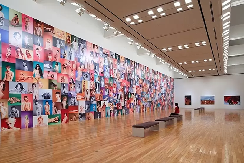 Gallery 2 （3F）photo:KIOKU Keizo © Ryan McGinley Courtesy the artist and Team Gallery, New York / Tomio Koyama Gallery
