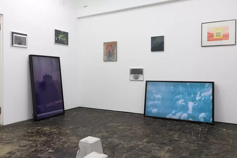 揚妻博之｜個展｜オルガネラ