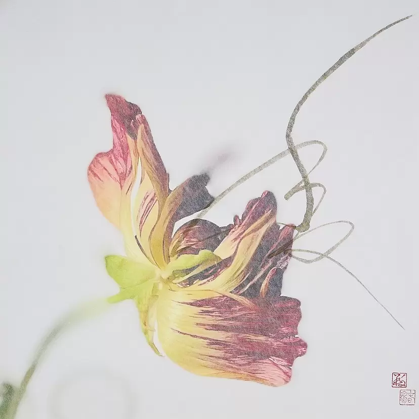 清水智裕「Re : 新規メッセージ」 | ArtSticker