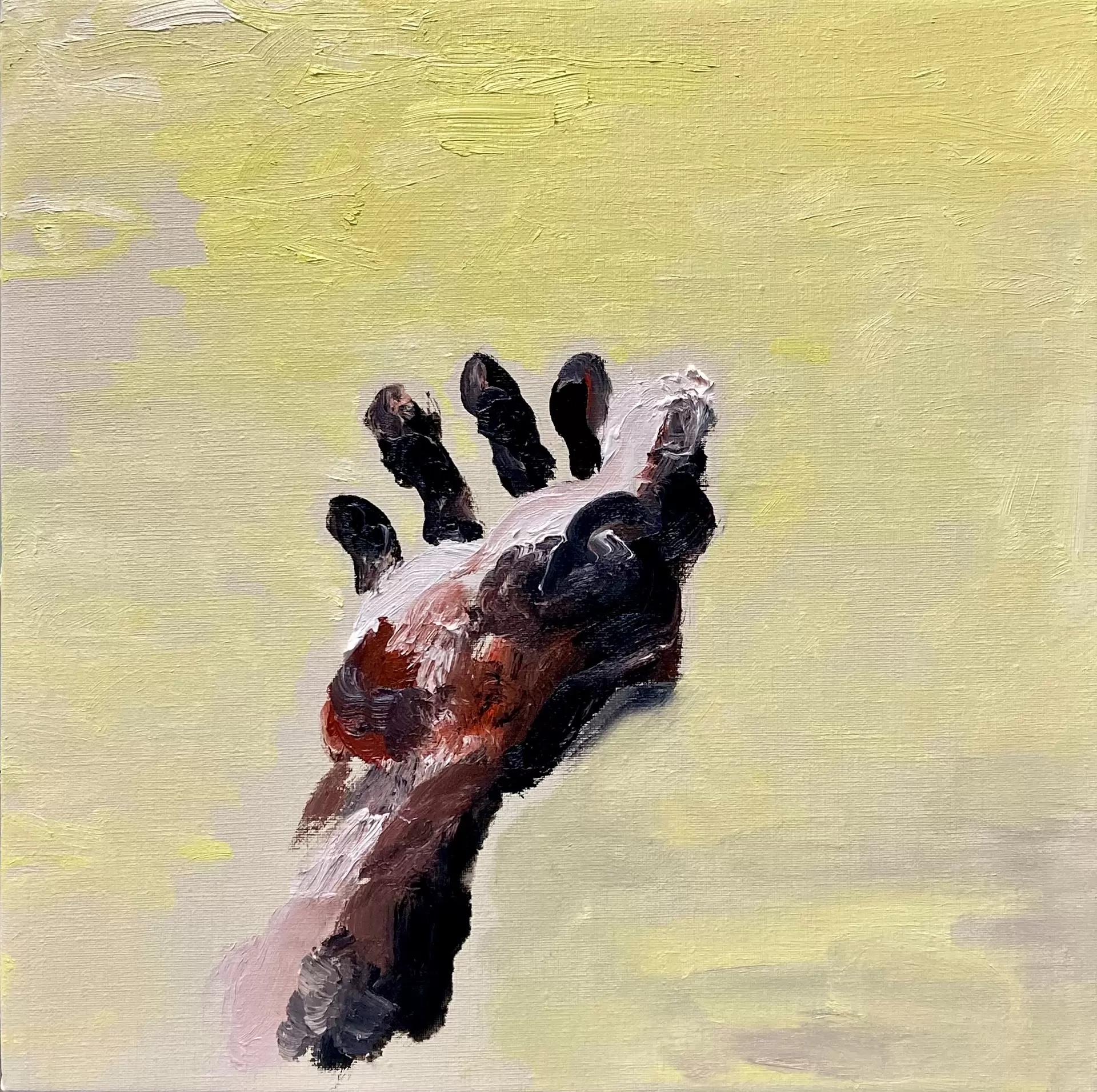 HASE.個展「わがままな絵」 | ArtSticker