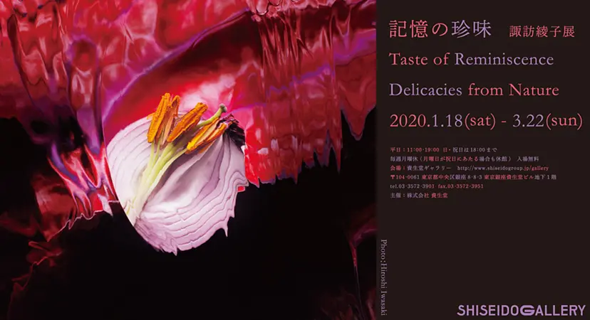 諏訪綾子展「記憶の珍味 」