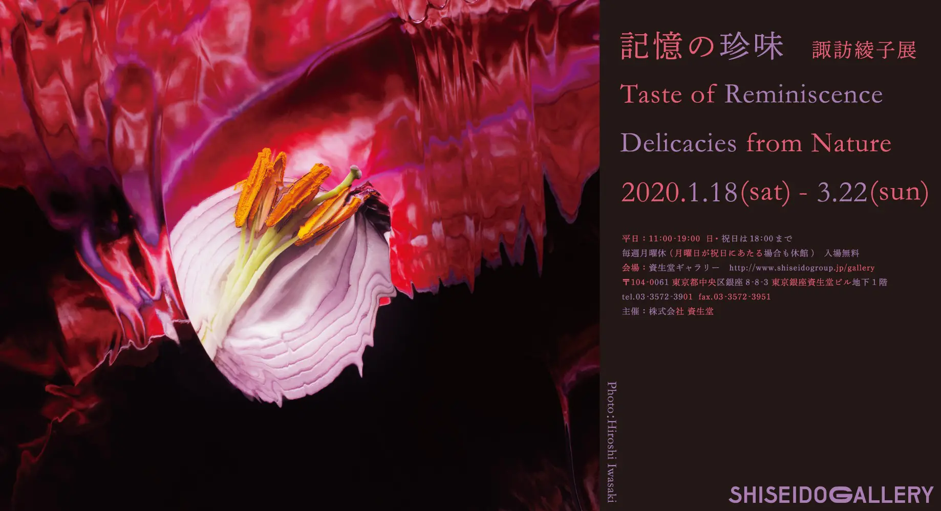 諏訪綾子展「記憶の珍味 」 | ArtSticker